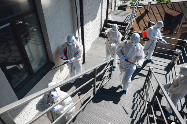 Best Comprehensive Air Testing for Mold Contaminants  in Statesboro, GA