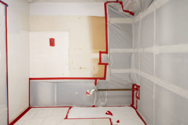 Best Post-Remediation Verification Testing  in Statesboro, GA