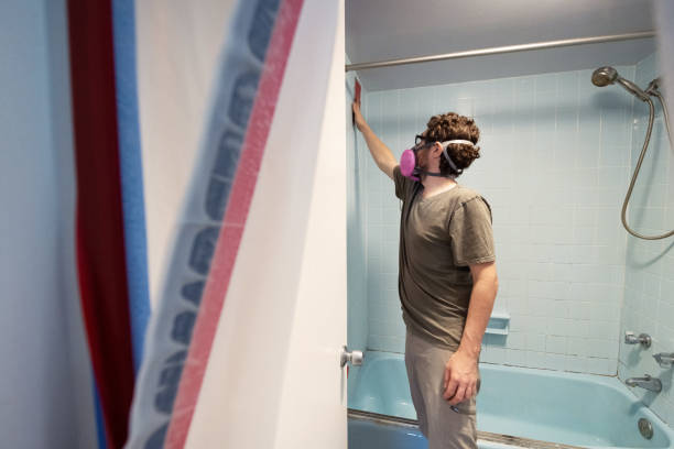 Best Black Mold Removal  in Statesboro, GA