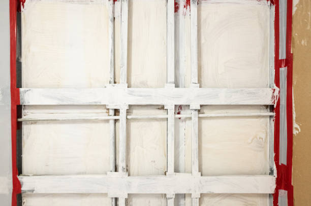 Best Commercial Mold Inspection  in Statesboro, GA