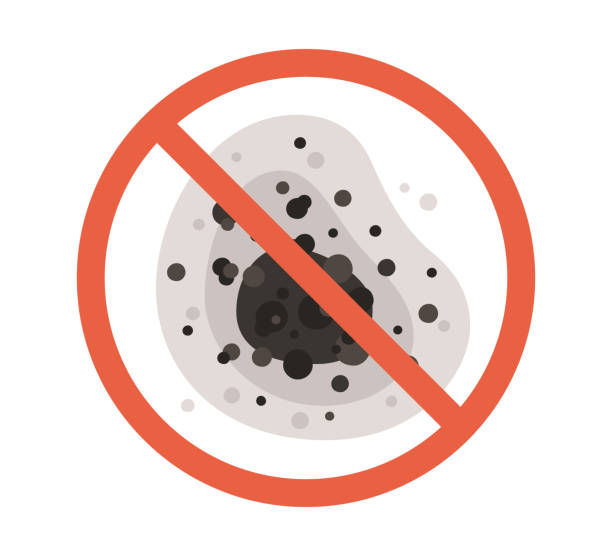 Best Forensic Mold Investigation  in Statesboro, GA
