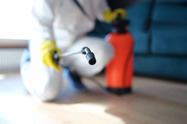 Best Mold Remediation for Healthcare Facilities  in Statesboro, GA