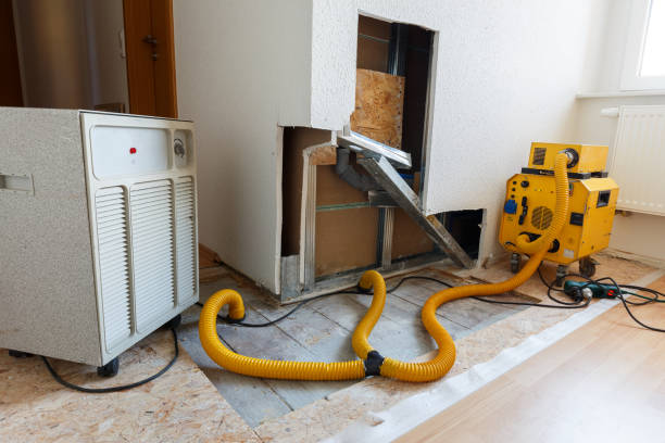 Professional Mold Removal in Statesboro, GA