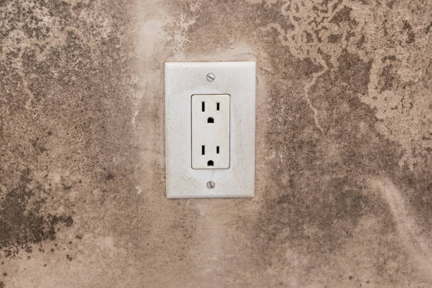 Best Dehumidification Services  in Statesboro, GA